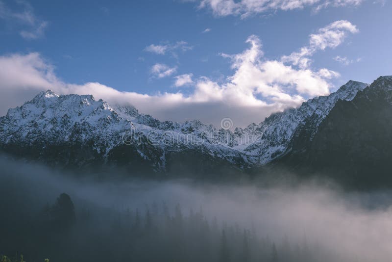 Misty morning view in wet mountain area in slovakian tatra - vintage film look