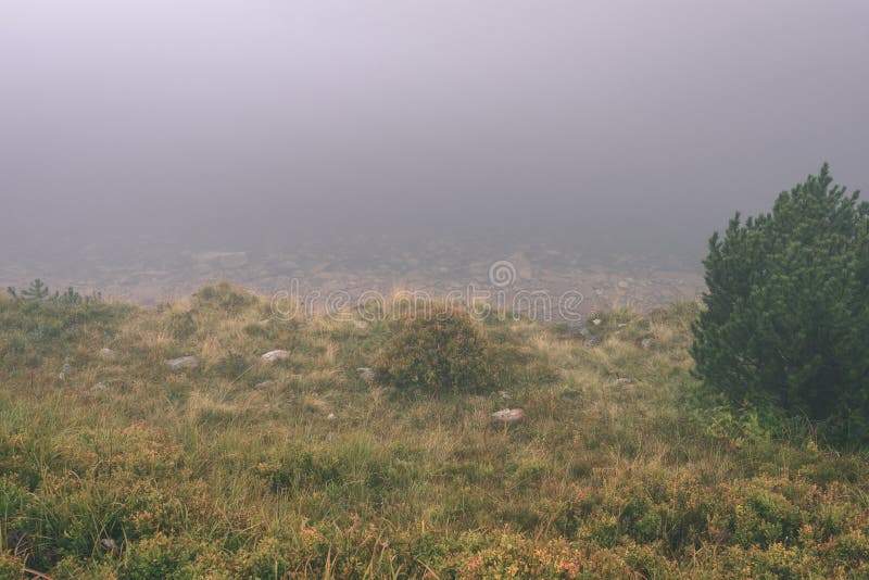 Mlhavé ráno pohled v mokré horské oblasti ve slovenských Tatrách - vzhled vintage filmu