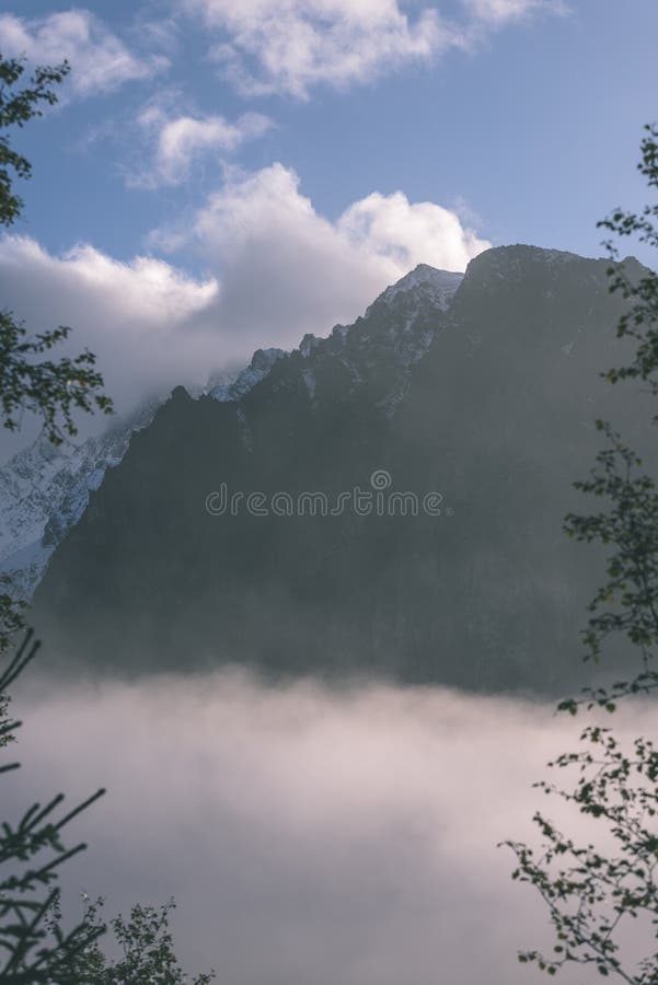 Misty morning view in wet mountain area in slovakian tatra - vintage film look