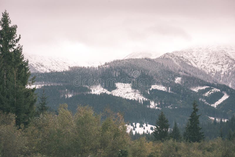 Mountain tops in winter covered in snow - vintage film look