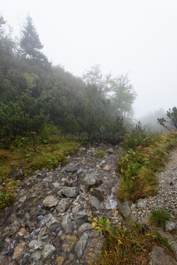 Mountain tourist trail in autumn covered in mist