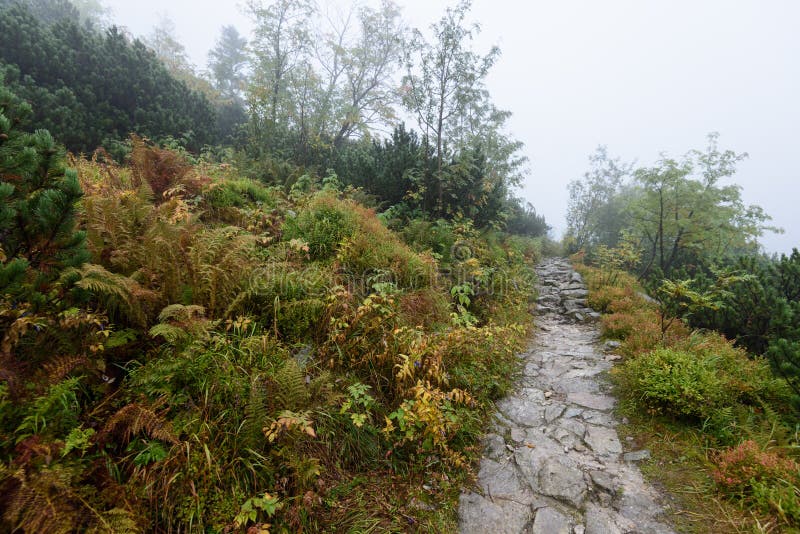 Mountain tourist trail in autumn covered in mist