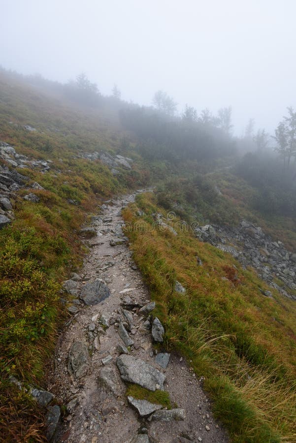 Mountain tourist trail in autumn covered in mist