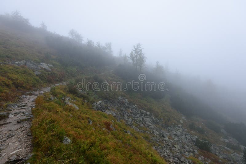 Mountain tourist trail in autumn covered in mist