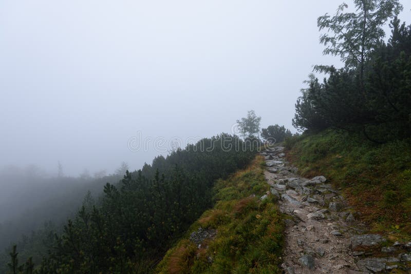 Mountain tourist trail in autumn covered in mist
