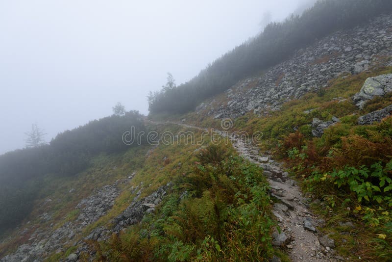 Mountain tourist trail in autumn covered in mist