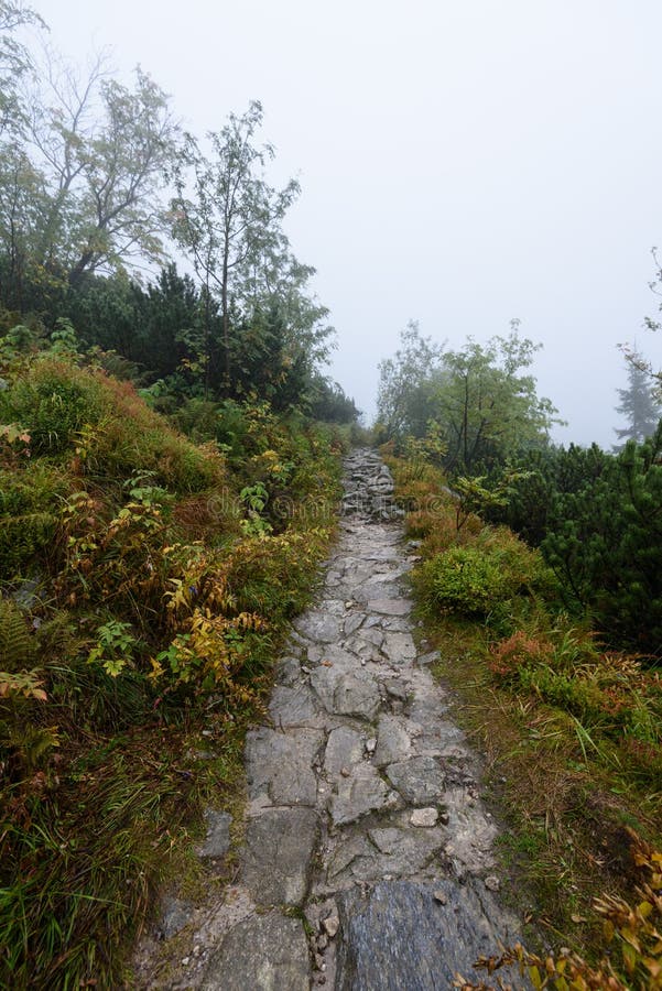 Mountain tourist trail in autumn covered in mist