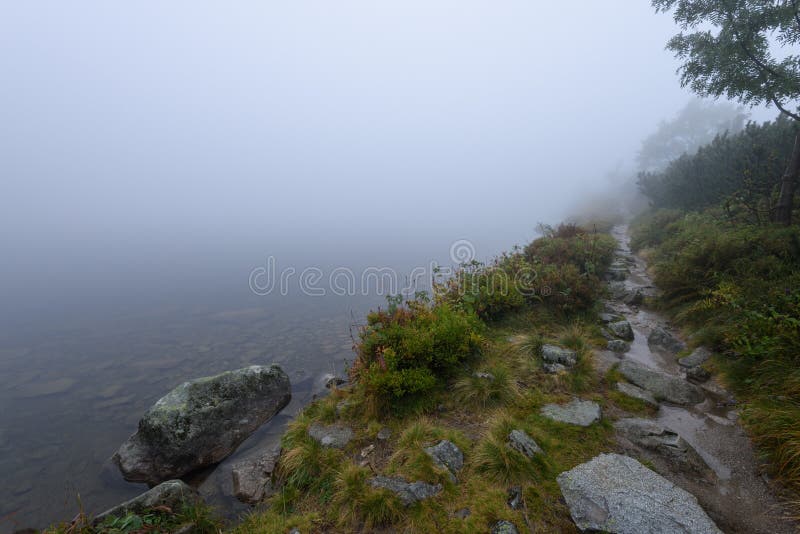 Mountain tourist trail in autumn covered in mist