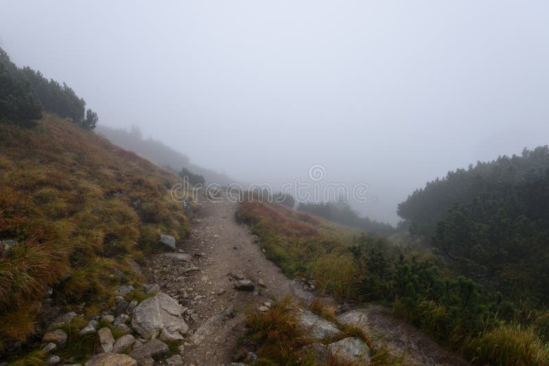 Mountain tourist trail in autumn covered in mist