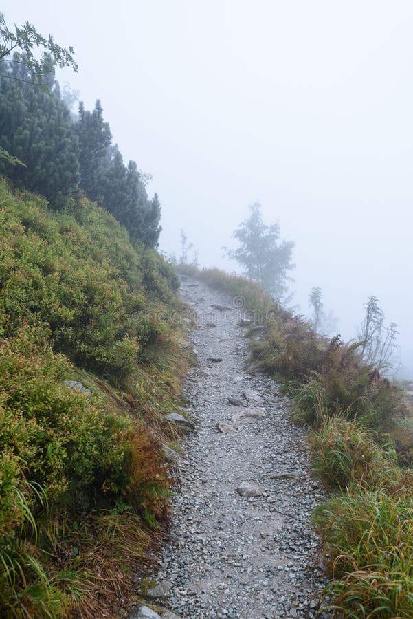 Mountain tourist trail in autumn covered in mist