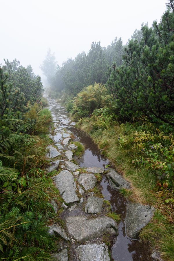 Mountain tourist trail in autumn covered in mist