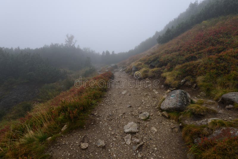 Mountain tourist trail in autumn covered in mist