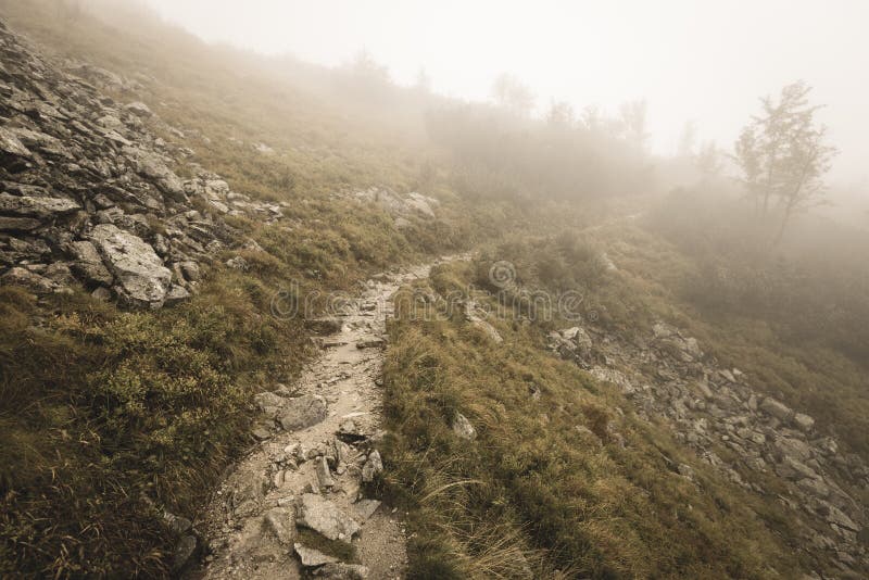 Mountain tourist trail in autumn covered in mist - soft vintage