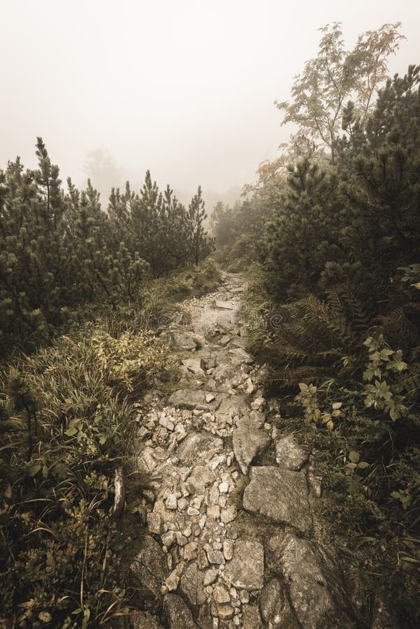 Mountain tourist trail in autumn covered in mist - soft vintage