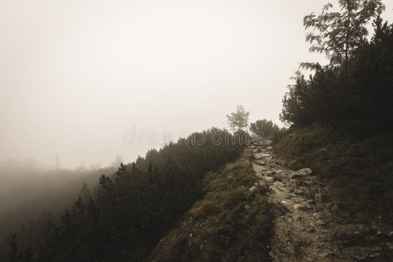 Horský turistický chodník na jeseň pokrytý hmlou mäkkou vintage