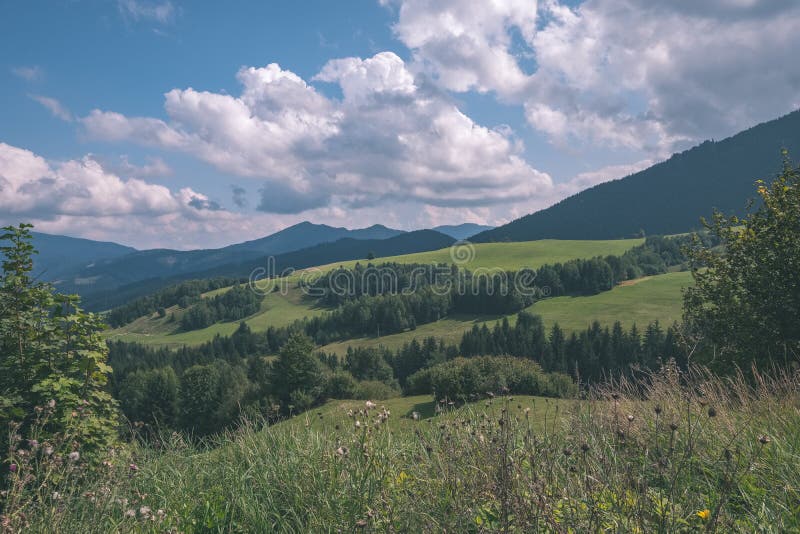 Panorama Západních Karpat se zelenými poli a lesy v popředí. léto na slovenských turistických stezkách - vinobraní