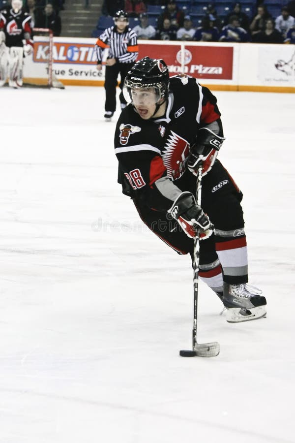 NHL Hockey Game Broadcast Cameras Editorial Stock Image Image of goalkeeper, male 13812284