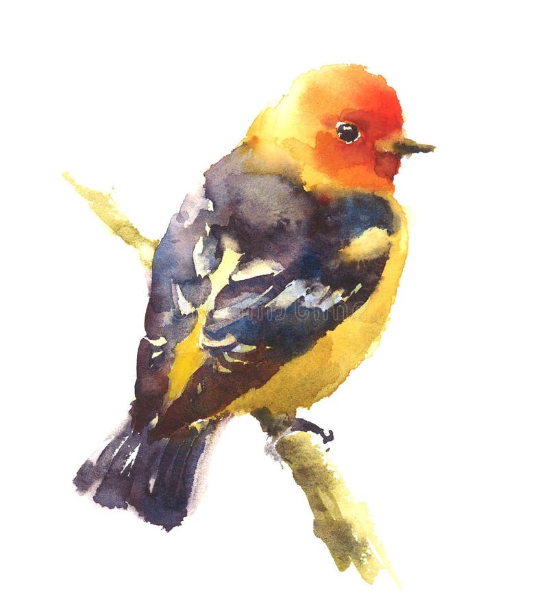 Tit Bird on the branch stock illustration. Illustration of painted ...