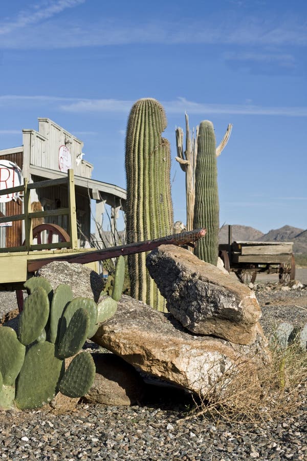 tumbleweed western store