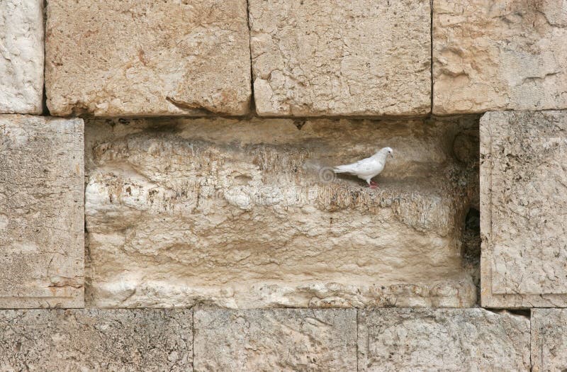 The Western wall royalty free stock photos The Western wall royalty free stock photos