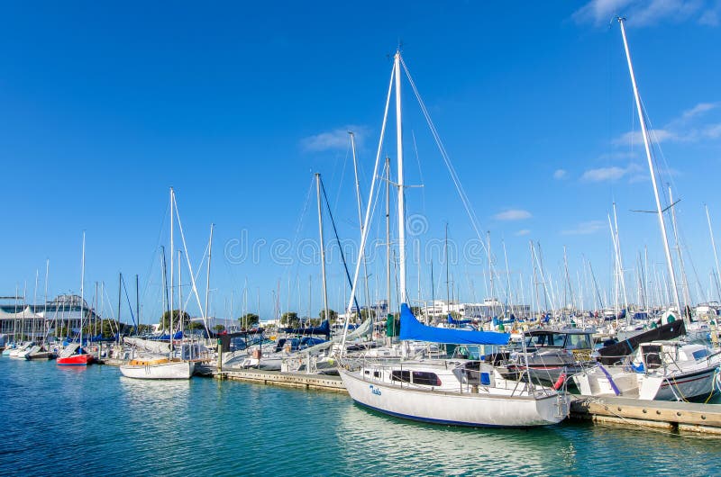 Westhaven Marina is the Largest Yacht Marina in Auckland,New Zealand ...