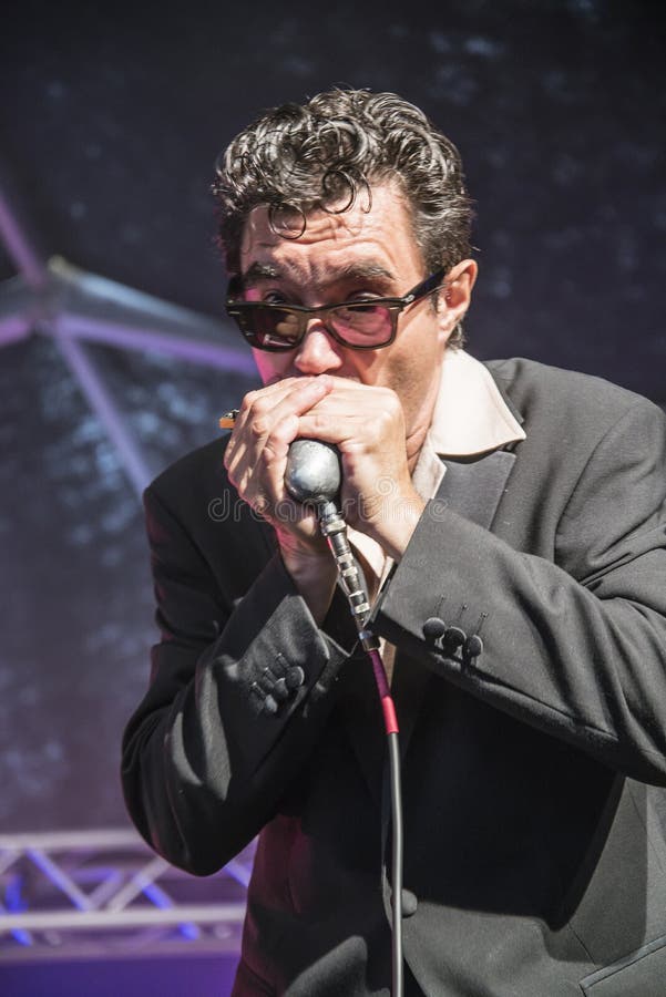 Joueur d'harmonica photographie éditorial. Image du échecs 48297592