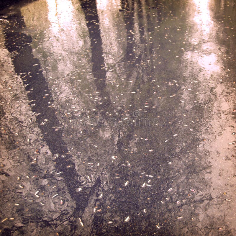 Wet asphalt with a tree trunk reflection - vintage effect. stock images