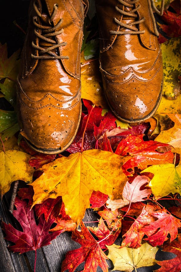 Wet autumn leaves and old shoes on wooden terrace