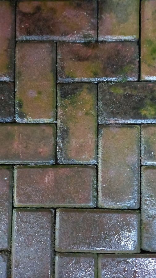 Wet bricks after the rain stock photo. Image of bricks 204070202