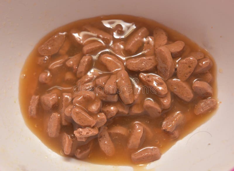 Wet cat food stock image. Image of feeding, care, bowl 92312349