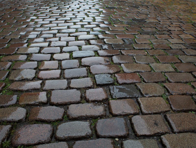 Wet cobblestone pavement