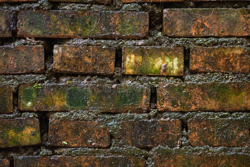 Wet Dark Brick Wall Texture Stock Photo Image of antique, concrete 181983078