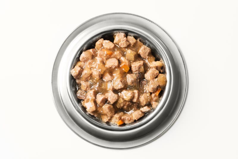 Wet food for dogs and cats in silver bowl