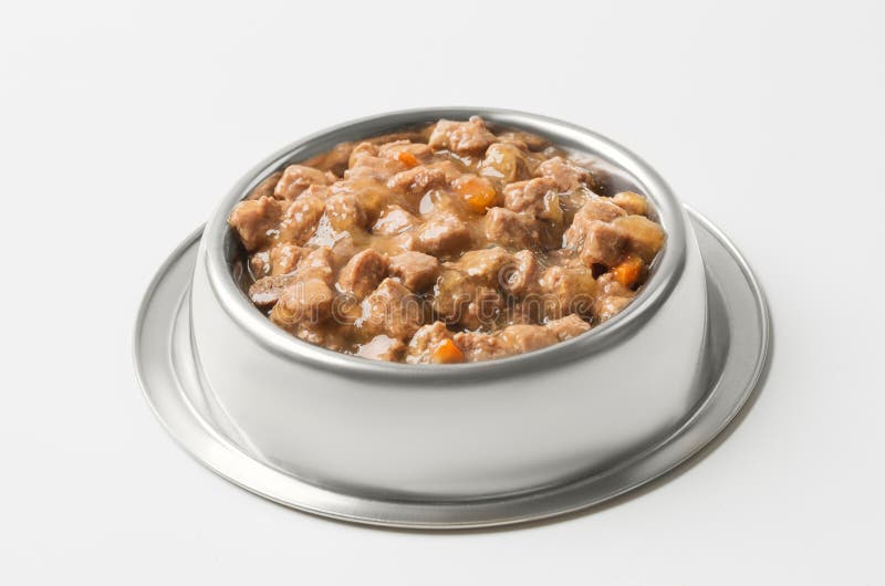 Wet food for dogs and cats in silver bowl