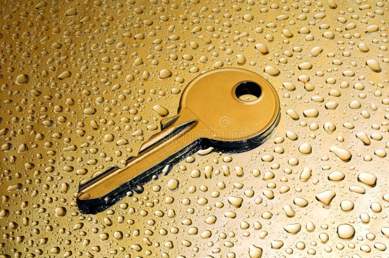 Wet gold key