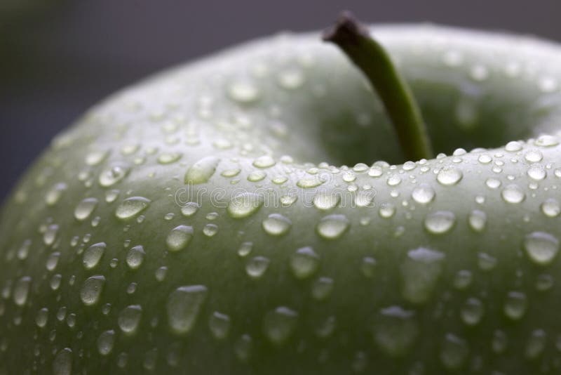 Wet green apple with stem
