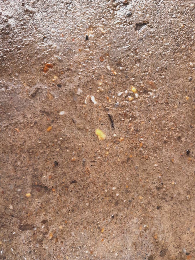 Wet Grunge Textured Concrete Floor Surface Background Stock Image