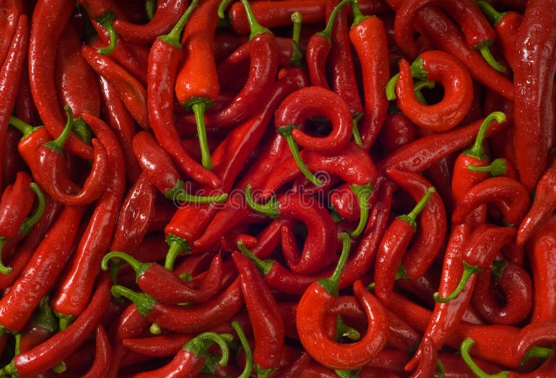 Wet hot pepper. Background.