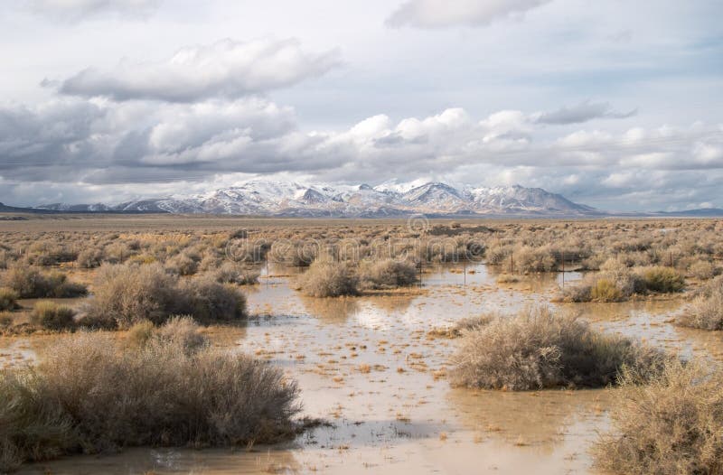 Wet Land In Nevada Royalty Free Stock Photos Image 883088