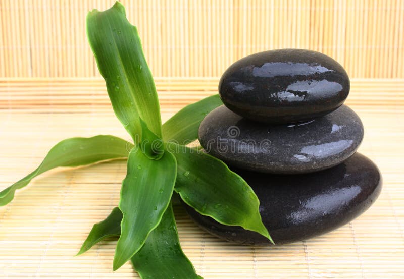 Wet Massage Stones with the Plant on Bamboo Mat Stock Image Image of