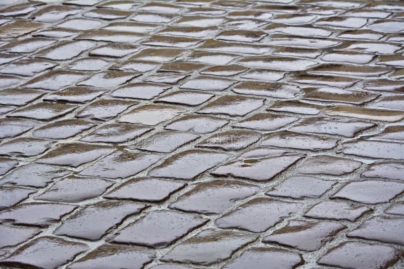 Wet Paved Surface of the Street in the Rain. Stock Photo Image of
