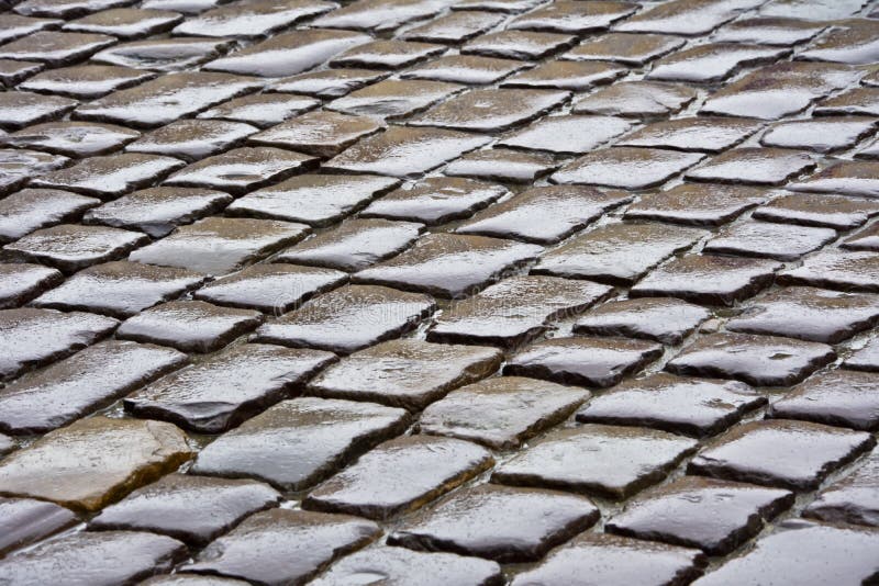 Wet Paved Surface of the Street in the Rain. Stock Photo Image of