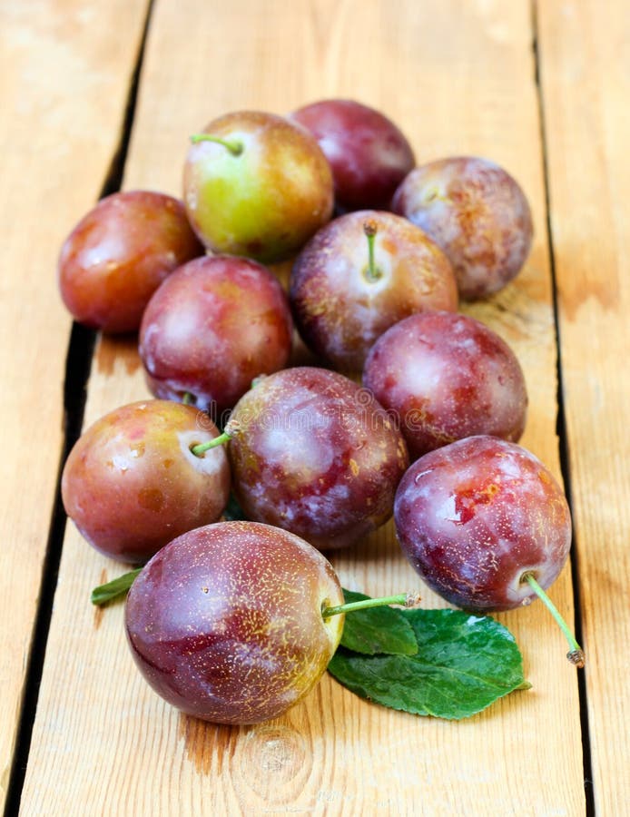 Jamaican Plums Telegraph
