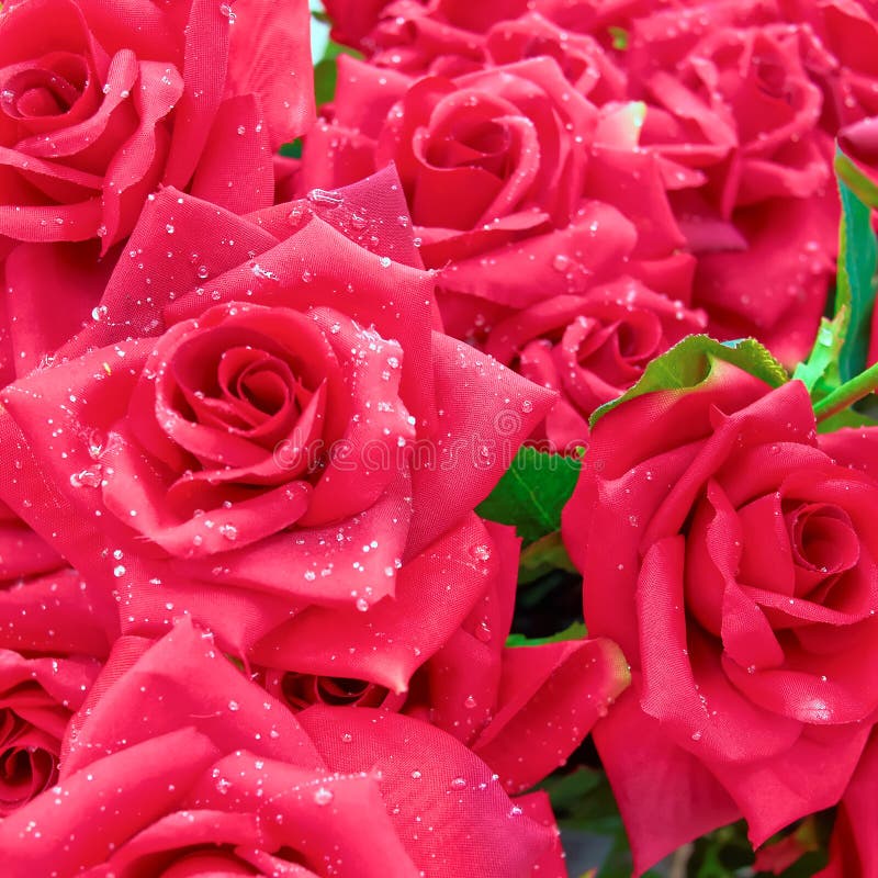 Fake roses bunch stock photo. Image of rose, orange, petals 22820798