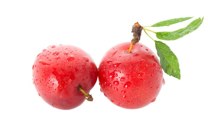 Wet ripe plums