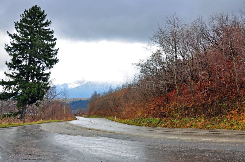 Wet road traffic