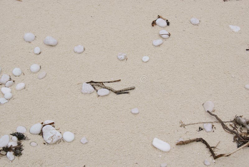 Wet sand and rocks