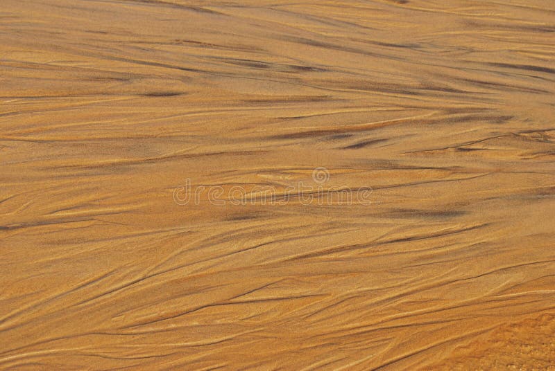 Wet sand texture