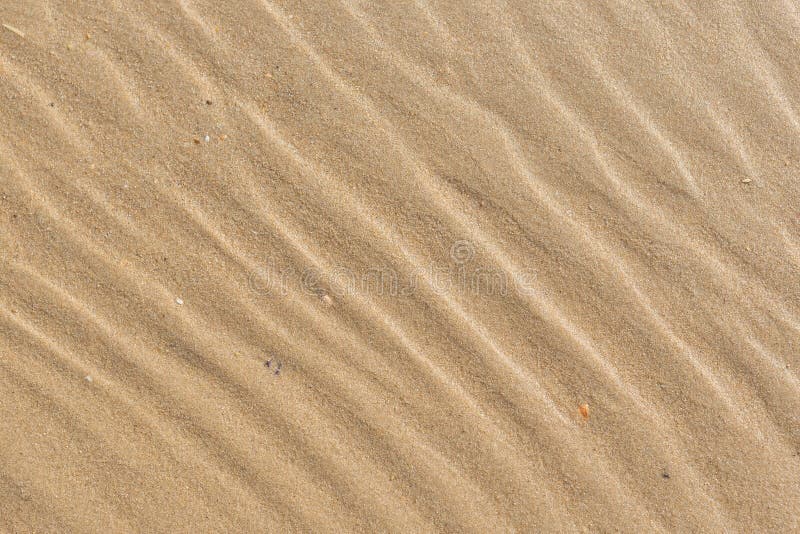 Wet sand texture on the beach.