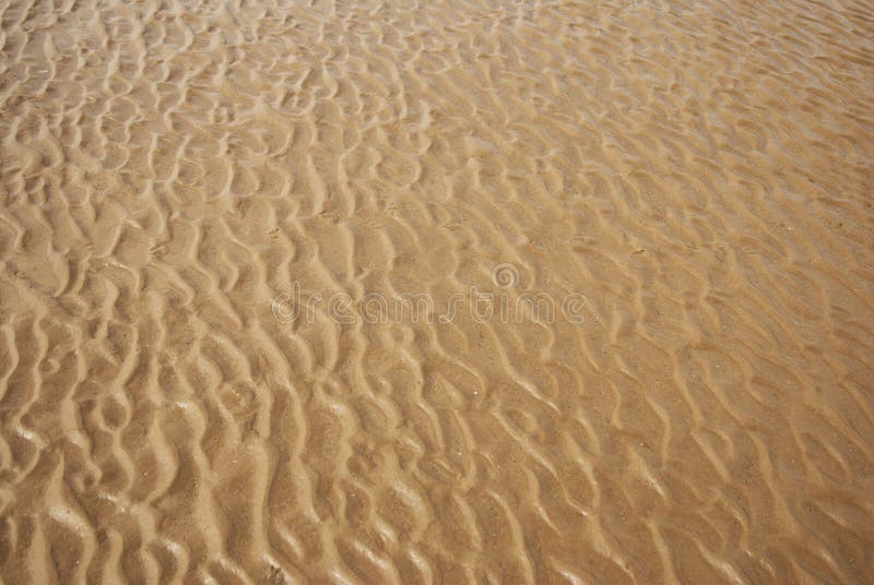 Wet sand texture. Sandy beach for background. Summer hollidays.